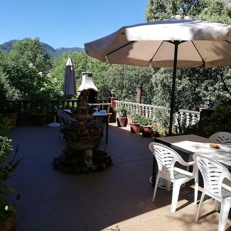 Alojamientos Rurales Vado Ancho La Encina Arroyo Frio Zewnętrze zdjęcie