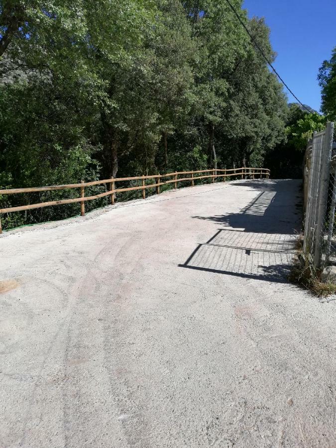 Alojamientos Rurales Vado Ancho La Encina Arroyo Frio Zewnętrze zdjęcie